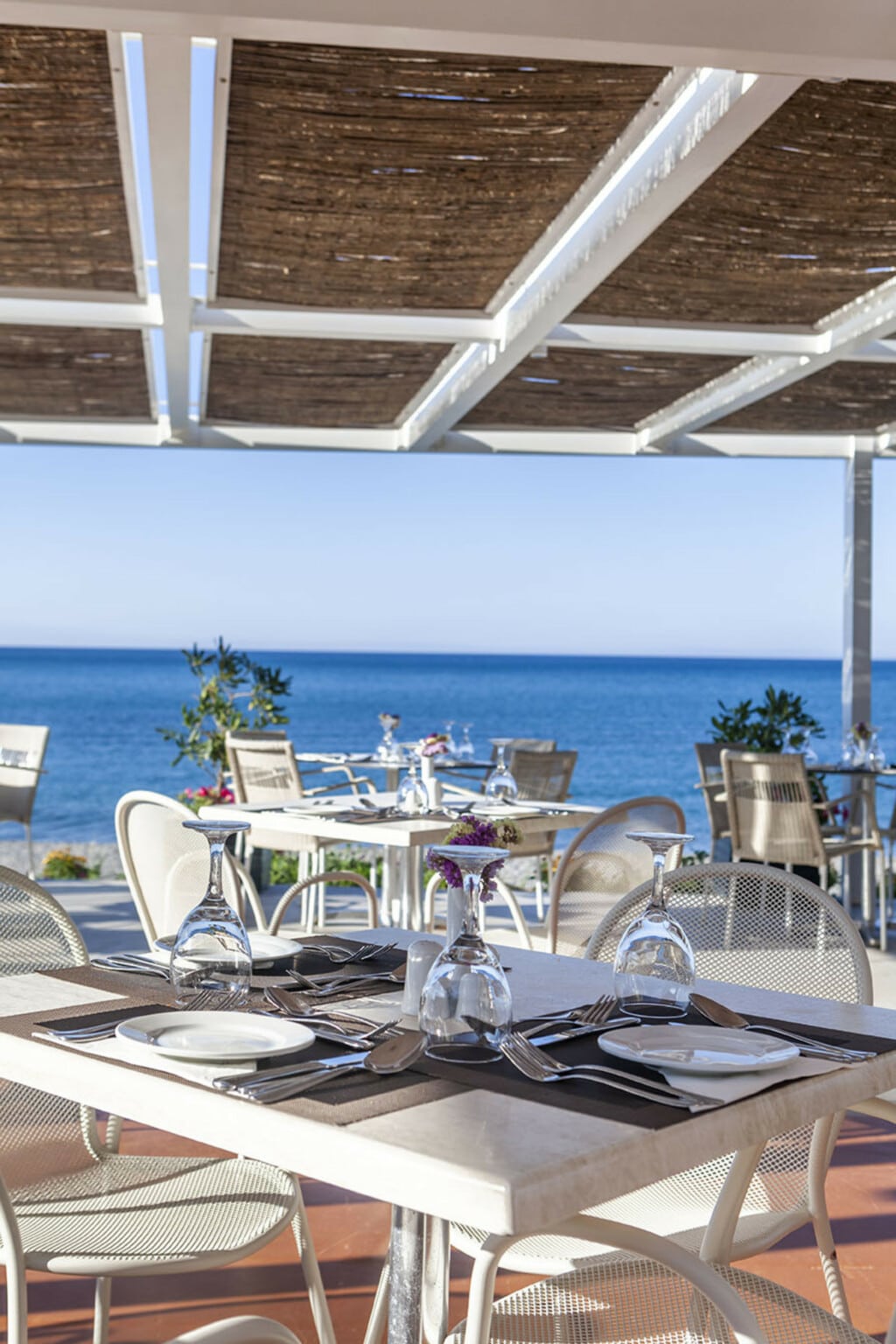 Main Buffet Restaurant - Sea Front Terrace 6