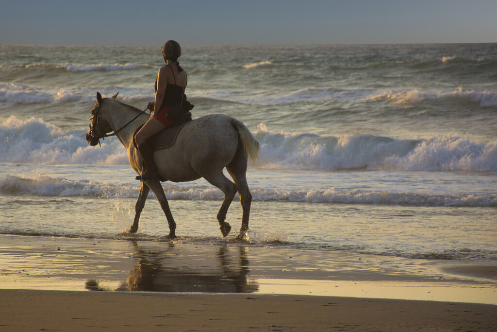 Girl Riding Horse On The Beach At Sunset. Horsewoman On The Sea
