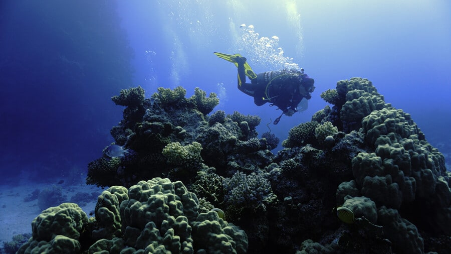 Underwater Photo Of A Beautiful Coral Reef And S Scuba Diver. Fr